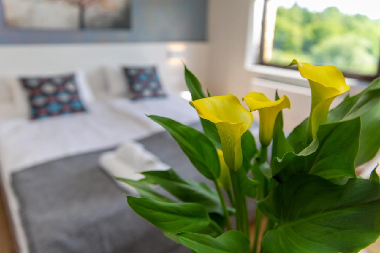 Apartament Sun&sport Krynica-zdrój *